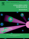 COLLOIDS AND SURFACES B-BIOINTERFACES杂志封面